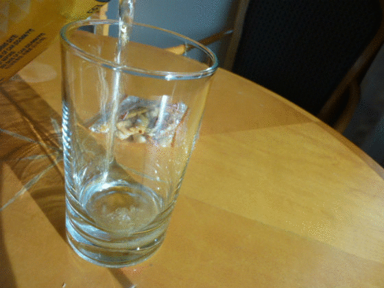 e0248743_7274272.gif