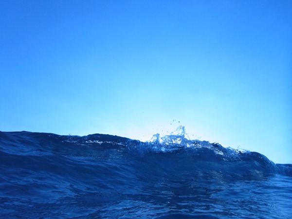 f0229844_221192.jpg