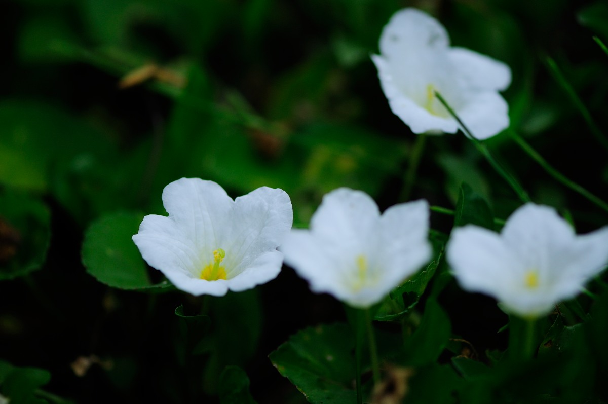 f0224648_20412312.jpg