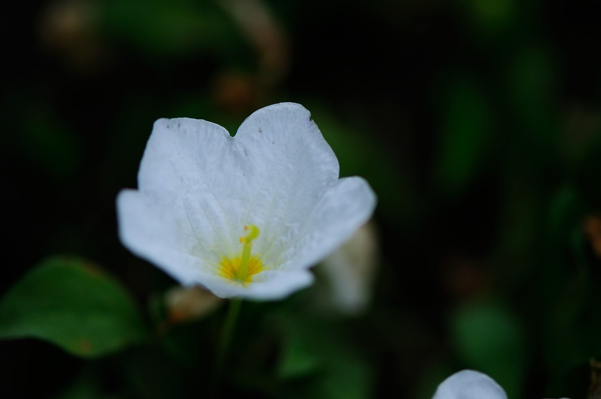 f0224648_21171178.jpg