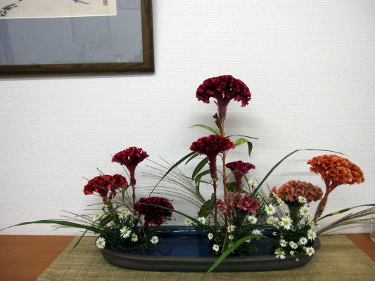 c0147952_026266.jpg