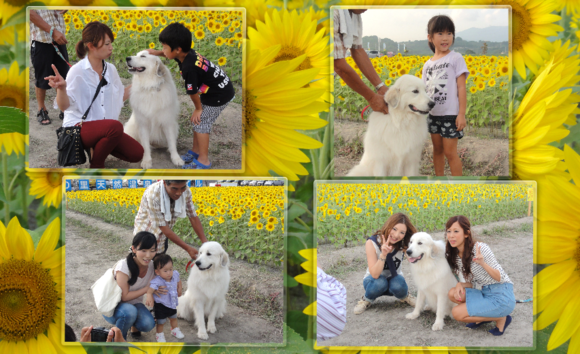 a0201257_1356953.png