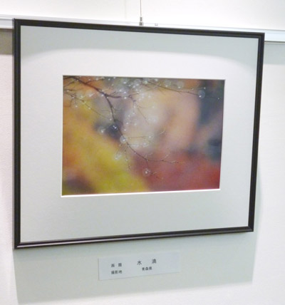 金山寛治の写真展「私のアングル」_f0235857_13122142.jpg