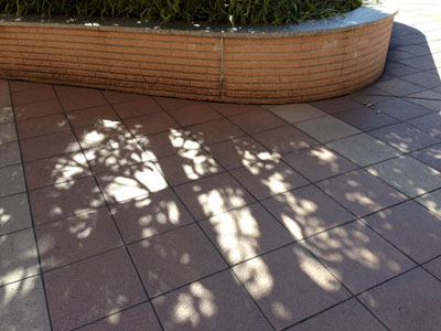 c0050264_1123641.jpg