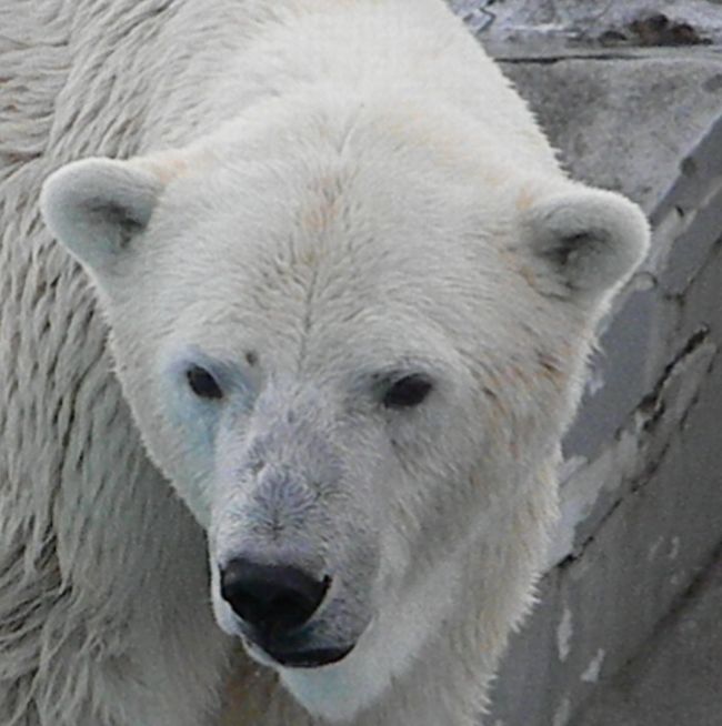 b0014576_22574698.jpg
