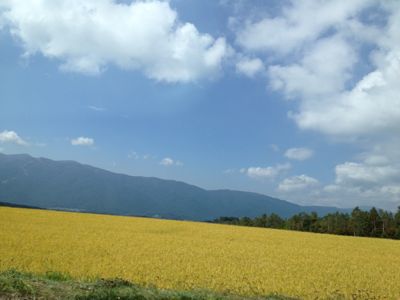 f0138278_9521692.jpg