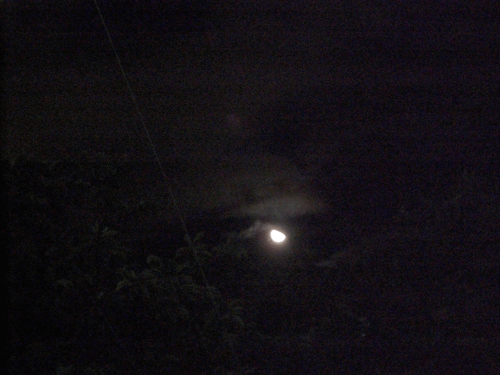c0095679_024997.gif