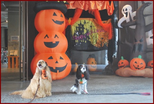 清里の旅～リゾナーレでハロウィン！_f0272880_1948203.jpg