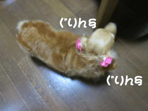 外仕事をしてると注文が殺到する法則！_b0200291_2117159.jpg