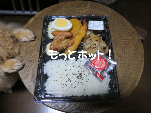外仕事をしてると注文が殺到する法則！_b0200291_2123877.jpg
