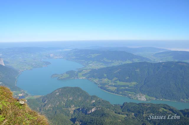 e0088895_2347471.jpg