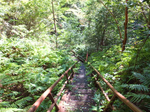 a0271502_17384895.jpg