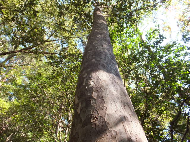 a0271502_1740910.jpg