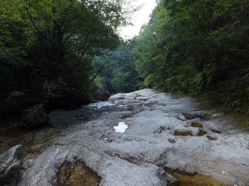 a0271502_92329.jpg