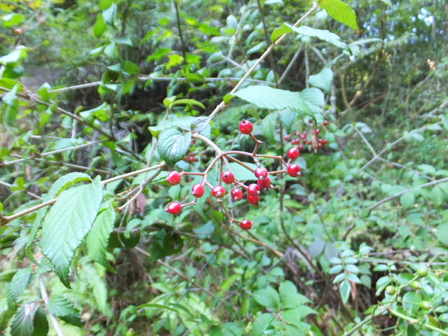 a0271502_9255642.jpg