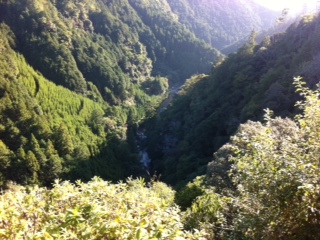 a0167204_9514728.jpg