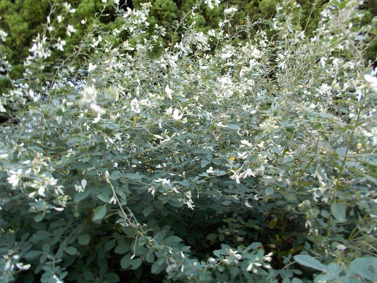 b0277505_221914.jpg
