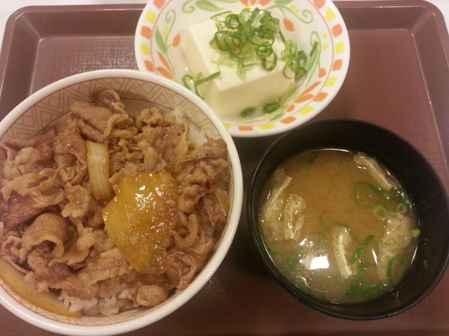 牛丼並健康セット 380 すき家 無駄遣いな日々 牛丼並健康セット 380 すき家 無駄遣いな日々