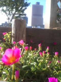 b0085408_0472449.jpg