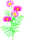 f0231709_15204671.gif