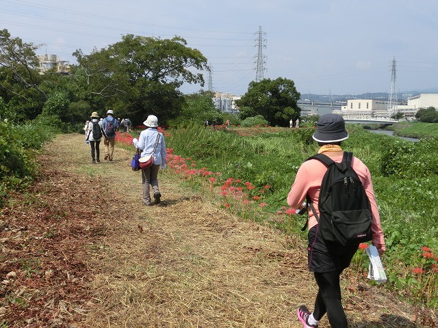 皆さん満足いただけたでしょうか?「のんびり彼岸花ウォーク」_f0141310_7351580.jpg