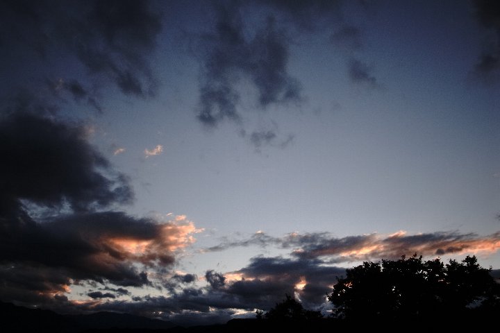 a0268412_011973.jpg