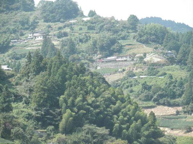 a0189513_6191883.jpg