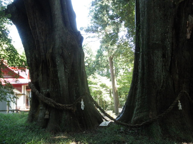 a0189513_63769.jpg