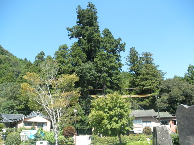 a0189513_683972.jpg