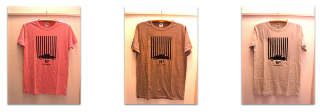キャトルセゾンローズ&DS T-shirts&totebag_f0172313_0492146.png
