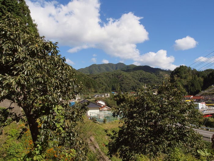 北東の風景＆蓮田など_c0116915_23531537.jpg