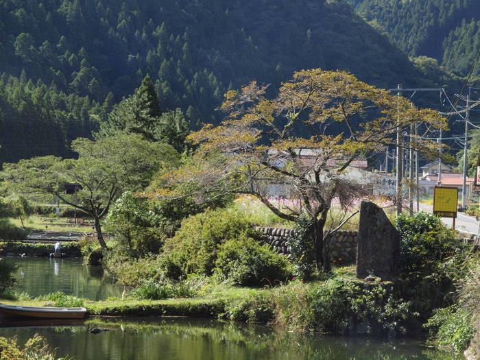 湯来つり堀_c0116915_23574188.jpg