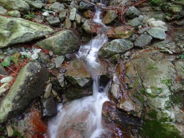 a0243317_226145.jpg