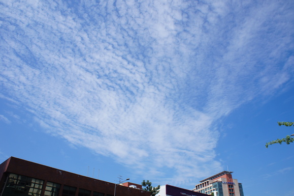 b0192820_226221.jpg
