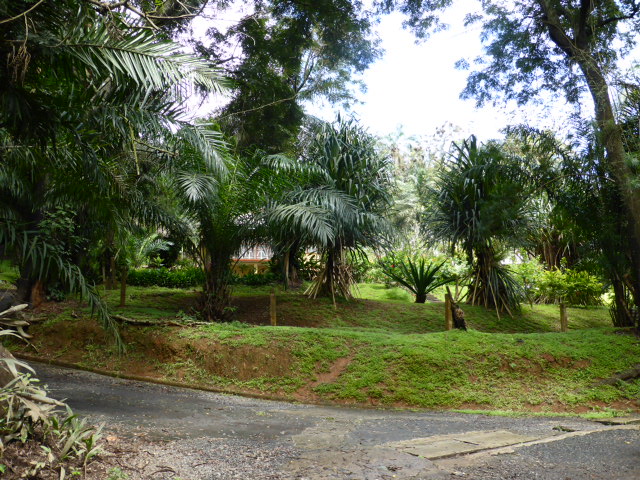 b0208620_16291576.jpg