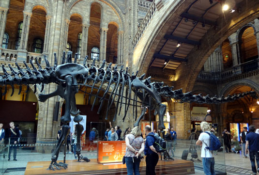 b0075429_17471825.jpg
