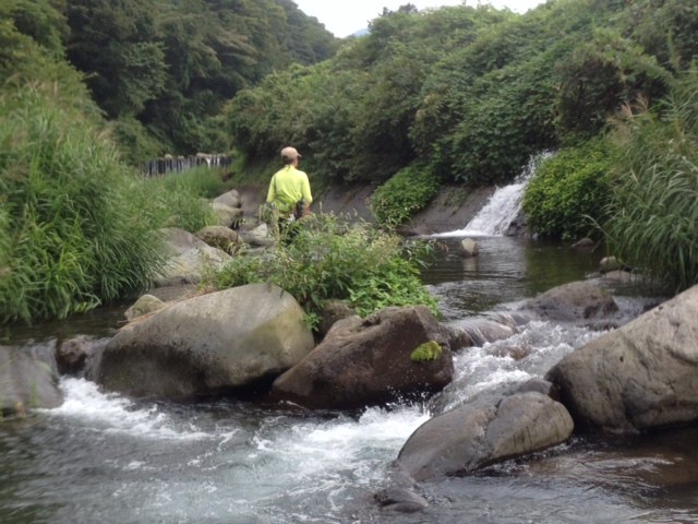 酒匂川水系 K川釣行 その3_c0149633_20194894.jpg