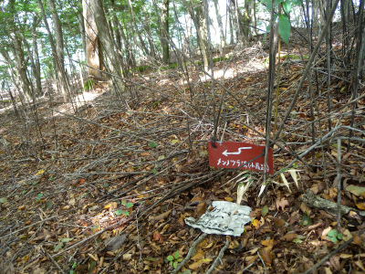 大障子岩と池の原展望所からの景観に満足！_e0272335_8363480.jpg