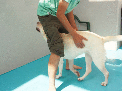 a0253436_1111656.gif