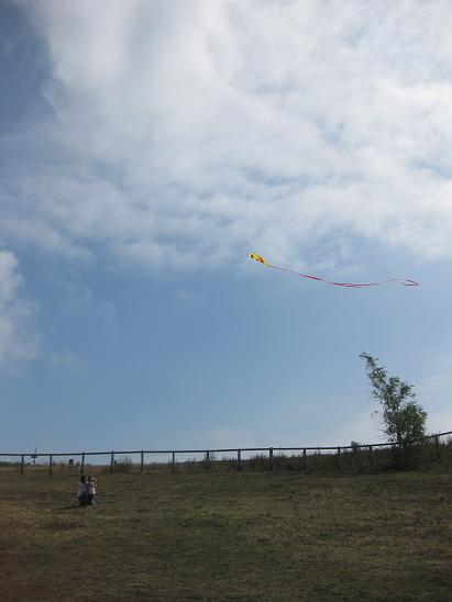 b0167736_5525240.jpg