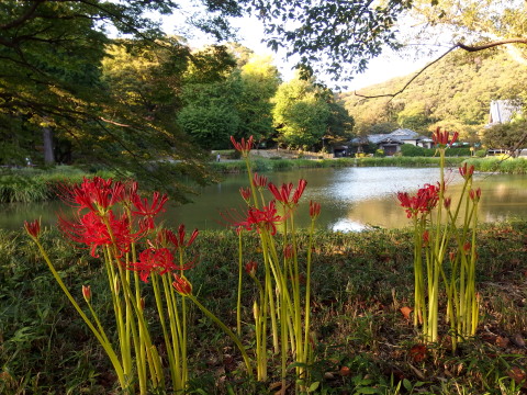 c0097838_15292027.jpg