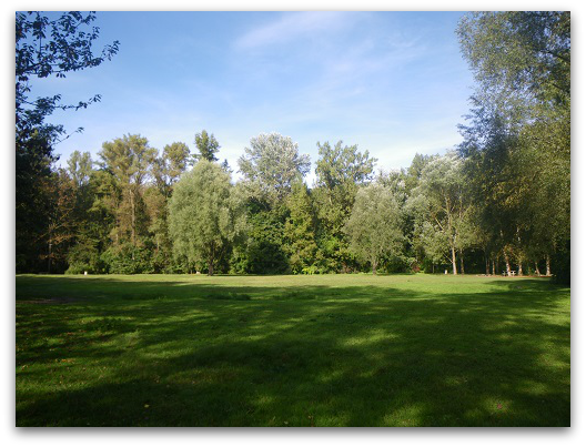 d0227344_7305570.png