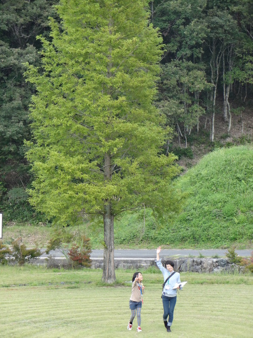 『第12回 ふるさと岡山の森を訪ねる旅』 前編レポート_b0211845_1692656.jpg