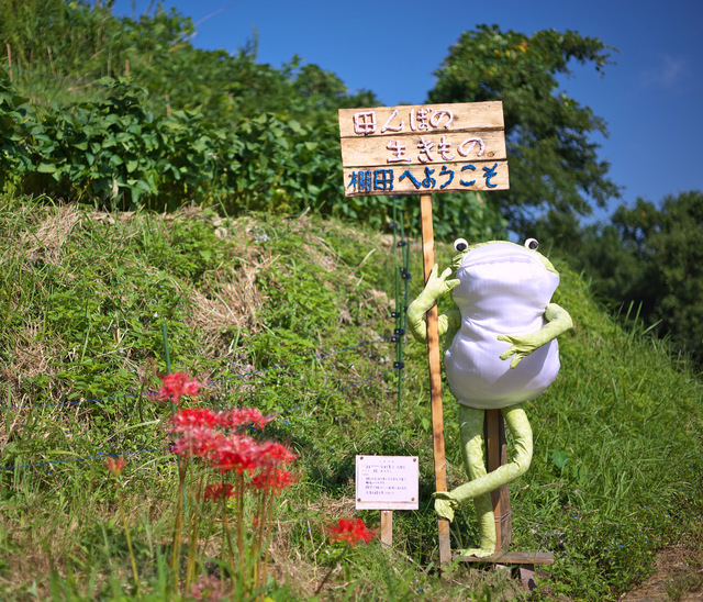 b0147449_1991557.jpg