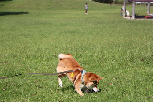f0245650_8175241.jpg