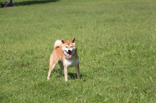 f0245650_8212645.jpg