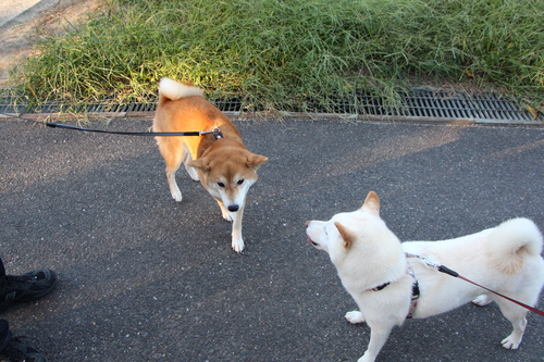 f0245650_8402147.jpg