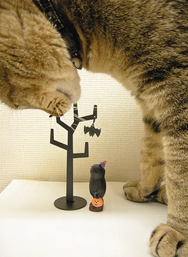 9月27日 Trick or Treatねこ_a0001354_23182391.gif