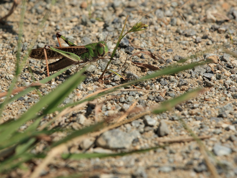 c0272958_055259.jpg