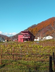 八剣山ワイナリーにて 展示会のお知らせ_c0122475_00072.jpg
